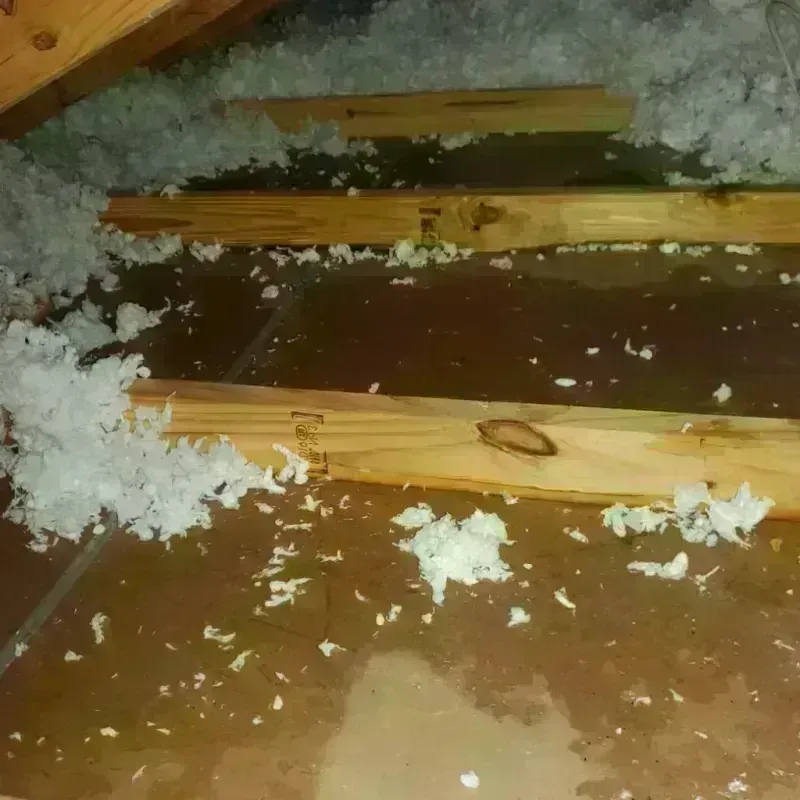 Attic Water Damage in McQueeney, TX