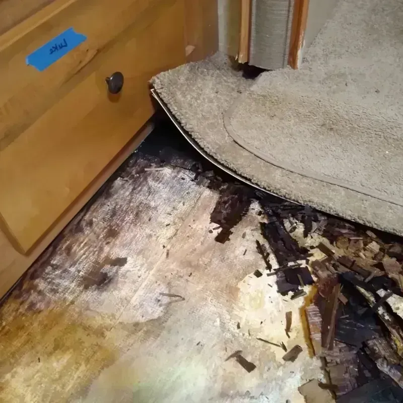 Wood Floor Water Damage in McQueeney, TX